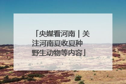 央媒看河南｜关注河南夏收夏种 野生动物等内容