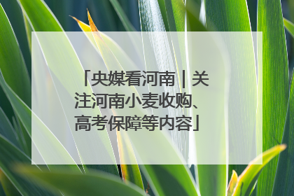 央媒看河南｜关注河南小麦收购、高考保障等内容