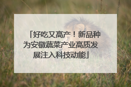 好吃又高产！新品种为安徽蔬菜产业高质发展注入科技动能