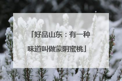 好品山东：有一种味道叫做蒙阴蜜桃