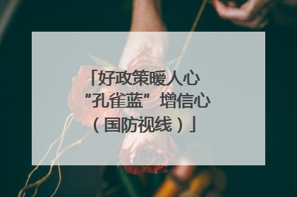 好政策暖人心 “孔雀蓝”增信心（国防视线）