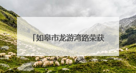 如皋市龙游湾路荣获全国最具人气的路