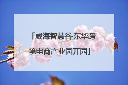 威海智慧谷·东华跨境电商产业园开园