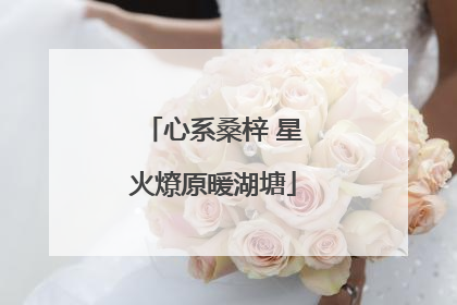 心系桑梓 星火燎原暖湖塘