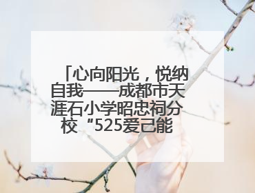 心向阳光，悦纳自我——成都市天涯石小学昭忠祠分校“525爱己能量站”点亮孩子心灵之旅