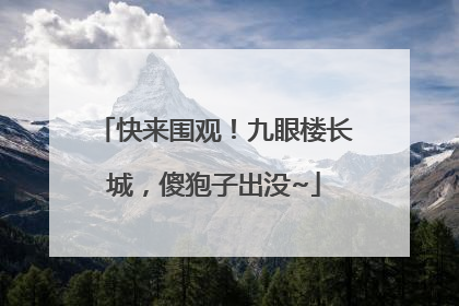 快来围观！九眼楼长城，傻狍子出没~