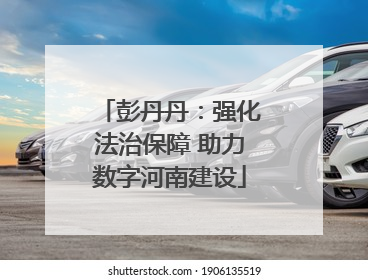彭丹丹：强化法治保障 助力数字河南建设