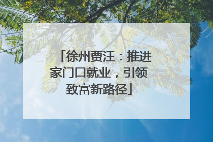 徐州贾汪：推进家门口就业，引领致富新路径
