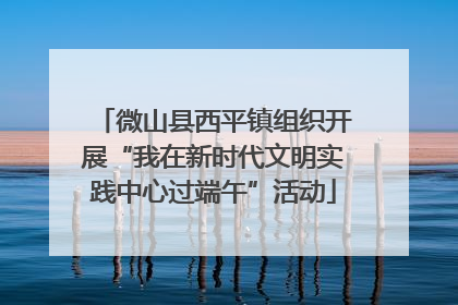 微山县西平镇组织开展“我在新时代文明实践中心过端午”活动