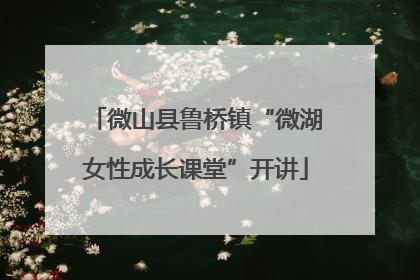 微山县鲁桥镇“微湖女性成长课堂”开讲