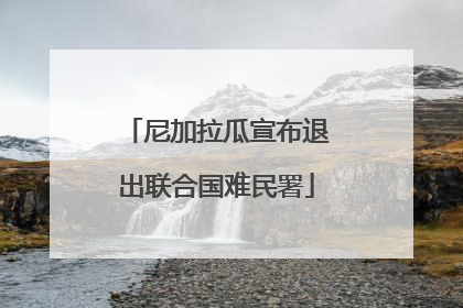 尼加拉瓜宣布退出联合国难民署