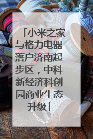 小米之家与格力电器落户济南起步区，中科新经济科创园商业生态升级