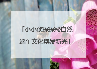 小小侦探探秘自然 端午文化焕发新光