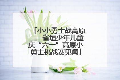 小小勇士战高原——省垣少年儿童庆“六一”高原小勇士挑战赛见闻