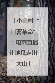 小山村“甘薯革命”：电商直播让地瓜走出大山