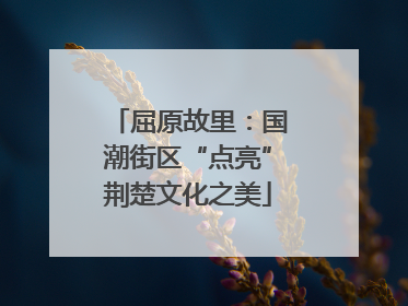 屈原故里：国潮街区“点亮”荆楚文化之美