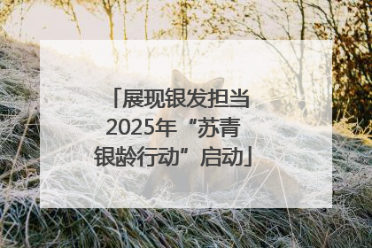 展现银发担当 2025年“苏青银龄行动”启动