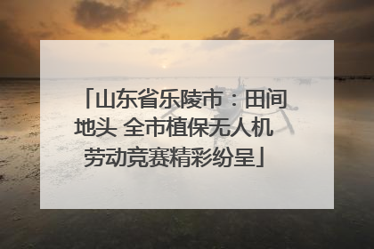 山东省乐陵市：田间地头 全市植保无人机劳动竞赛精彩纷呈