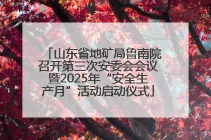 山东省地矿局鲁南院召开第三次安委会会议暨2025年“安全生产月”活动启动仪式