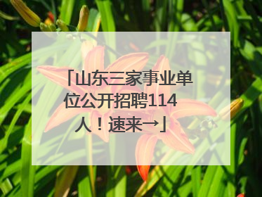 山东三家事业单位公开招聘114人！速来→