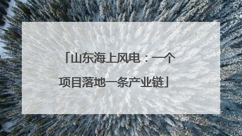 山东海上风电：一个项目落地一条产业链