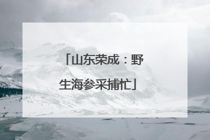 山东荣成：野生海参采捕忙