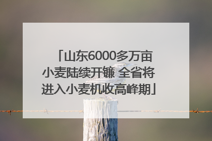 山东6000多万亩小麦陆续开镰 全省将进入小麦机收高峰期