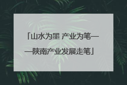 山水为墨 产业为笔——陕南产业发展走笔