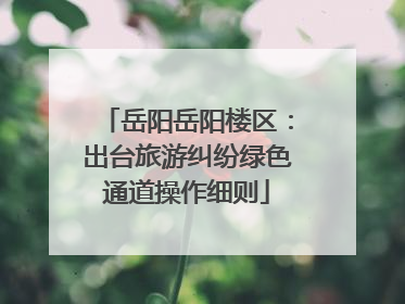岳阳岳阳楼区：出台旅游纠纷绿色通道操作细则