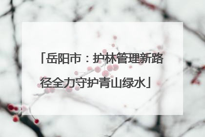 岳阳市：护林管理新路径全力守护青山绿水