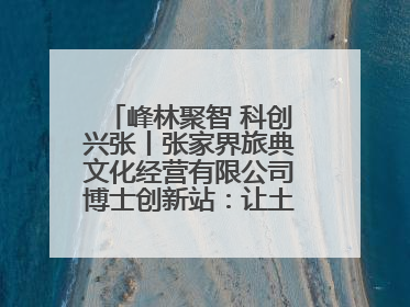 峰林聚智 科创兴张丨张家界旅典文化经营有限公司博士创新站：让土家织锦“智”造出非遗新传奇