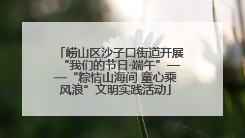崂山区沙子口街道开展“我们的节日·端午”——“粽情山海间 童心乘风浪”文明实践活动