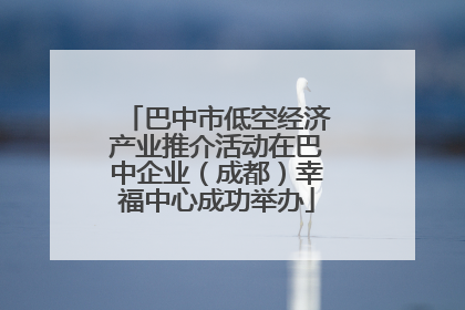巴中市低空经济产业推介活动在巴中企业（成都）幸福中心成功举办