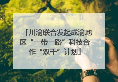 川渝联合发起成渝地区“一带一路”科技合作“双千”计划