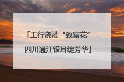 工行浇灌“致富花” 四川通江银耳绽芳华