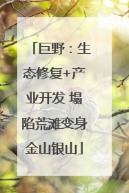 巨野：生态修复+产业开发 塌陷荒滩变身金山银山