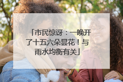市民惊讶：一晚开了十五六朵昙花！与雨水均衡有关