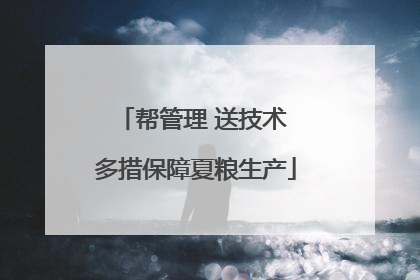 帮管理 送技术 多措保障夏粮生产