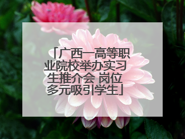 广西一高等职业院校举办实习生推介会 岗位多元吸引学生