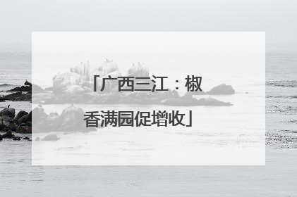 广西三江：椒香满园促增收