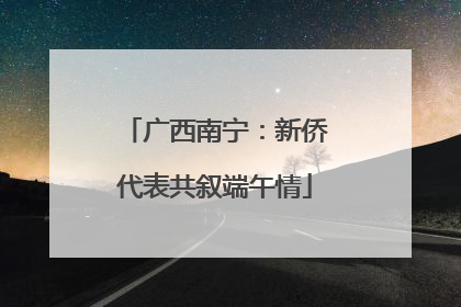 广西南宁：新侨代表共叙端午情