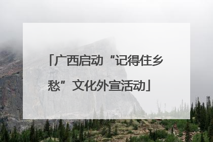 广西启动“记得住乡愁”文化外宣活动