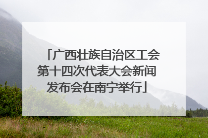 广西壮族自治区工会第十四次代表大会新闻发布会在南宁举行