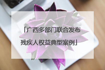 广西多部门联合发布残疾人权益典型案例