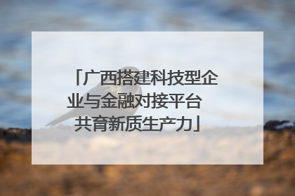 广西搭建科技型企业与金融对接平台 共育新质生产力