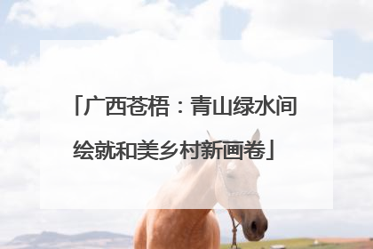 广西苍梧：青山绿水间绘就和美乡村新画卷