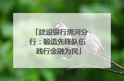 建设银行黑河分行：锻造先锋队伍 践行金融为民