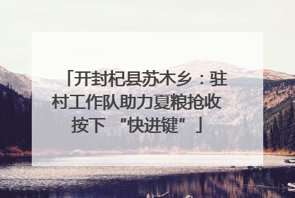 开封杞县苏木乡：驻村工作队助力夏粮抢收按下 “快进键”