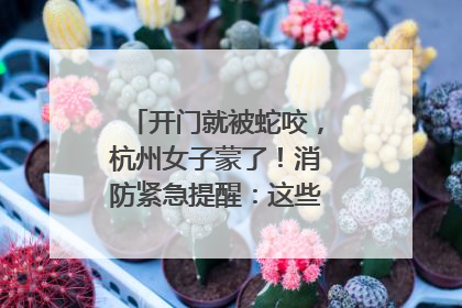 开门就被蛇咬，杭州女子蒙了！消防紧急提醒：这些方法都不靠谱！
