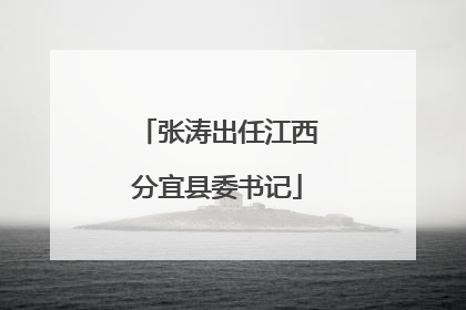 张涛出任江西分宜县委书记